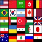 Flag frenzy: Travel the world