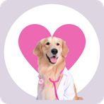 Dra Queeny Anatomia quizz