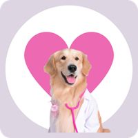 Dra Queeny Anatomia quizz