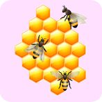 Bees Honey Comb Repair Puzzle