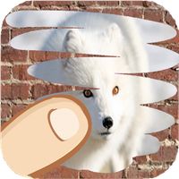 Animals , guess which one