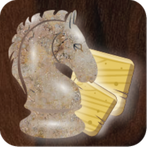 ChessMaze Paid - A Chess Puzzl