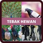 Tebak Nama Hewan