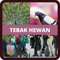 Tebak Nama Hewan