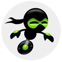 Robo-Ninja