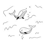Animal Coloring Book