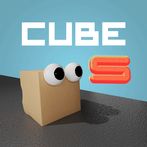 Cube S