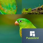 PuzzleGrid - Quebra-cabeça