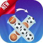 Sort Sport ball puzzle