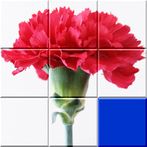 Sliding Puzzle Flowers