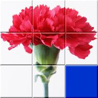 Sliding Puzzle Flowers