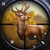 Game-Fair Studio