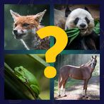 4 photos 1 word - Word game