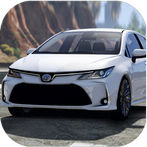 Japan Cars: Corolla Driver