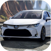 Japan Cars: Corolla Driver