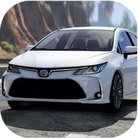 Japan Cars: Corolla Driver