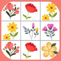 Flower Games, Flowers Memory G