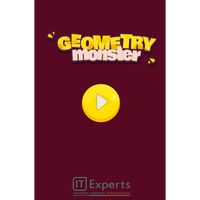 Geometry Monster IT Experts