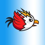 Love bird juega y vuela