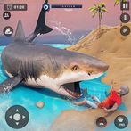 Angry Shark Games Evolution