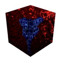 CyberCube