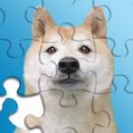 Jigsaw Drop Puzzle