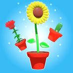 Plant Evolution