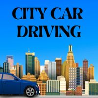 City Car Driving