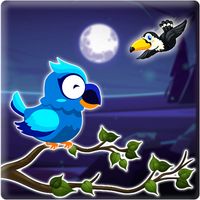 Bird Sort Master : Moon Night