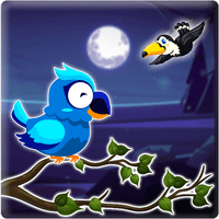 Bird Sort Master : Moon Night
