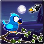 Bird Sort Master : Moon Night