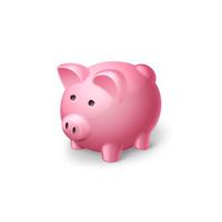 PigStory