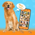 Dog Training Whistle Sounds