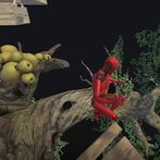 Simples Obstáculos