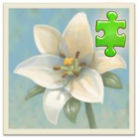 Inner Garden: Desert Garden
