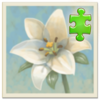 Inner Garden: Desert Garden