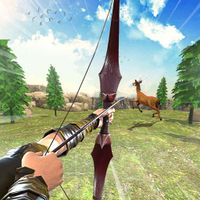 Archery Hunt Hero Bow Shooting