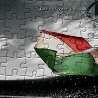 Fluminense Puzzles
