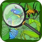 Hidden Insects