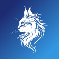 Brain Riddles Tricky Questions