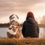 What dog breed am I? Test
