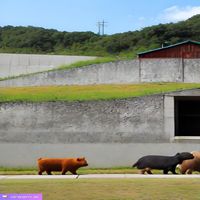 동물한테 피자를 던지세요.