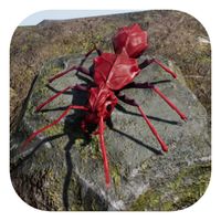 Bomber Ant