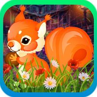 Seed Squirrel Escape - Kavi