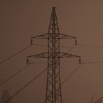 Sortie Danger - Wasteland Surv