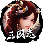 삼국지 전략 전투