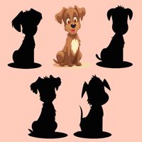 Find The Correct Shadow