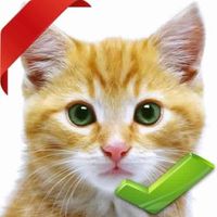 ❤ Nibbi's Hop - A fun, joyful