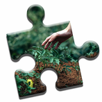 Organic Gardening Puzzle