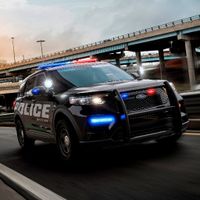 Ultimate Police Chase